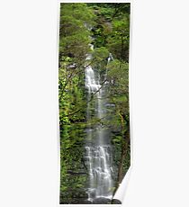 Erskine Falls Poster