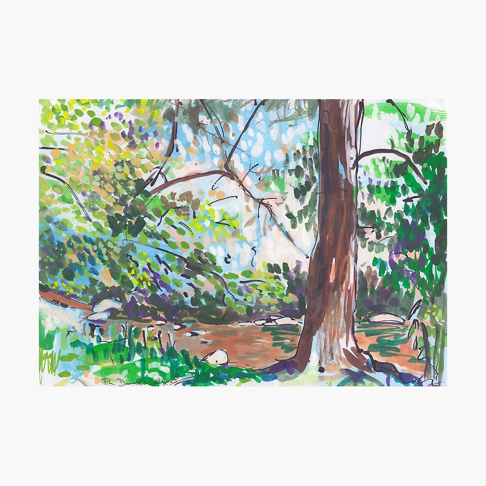 Lake Placid Photographic Print