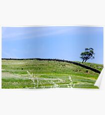 Mown Grass Poster