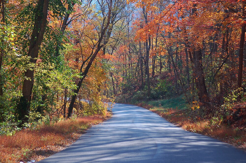 "Kentucky Country Road" by kentuckyblueman Redbubble