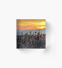 Bulrush Acrylic Block