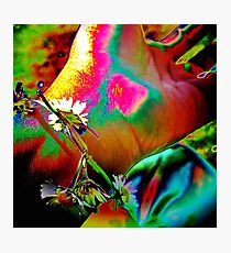 Daisy Chains Photographic Print