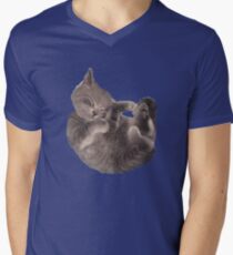 Sleepy Kitten Men's V-Neck T-Shirt