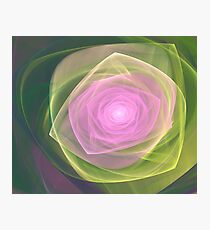 Organza Photographic Print