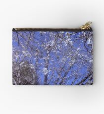 Blossoms in Febuary? Studio Pouch