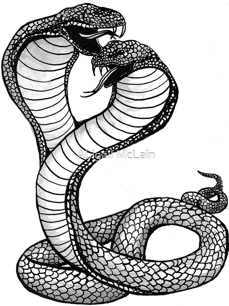 "TwoHeaded Cobra" by Abigail McLain Redbubble
