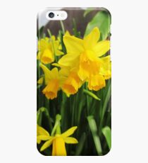 Daffodils iPhone 6s Plus Case