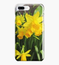 Daffodils iPhone 8 Plus Case