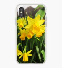 Daffodils iPhone Case