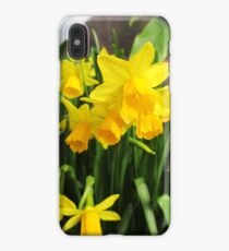Daffodils iPhone XS Max Case