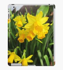 Daffodils iPad Case/Skin