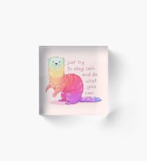 "Versuche einfach ruhig zu bleiben" Rainbow Ferret Acrylblock