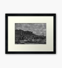 Raw Lands Framed Print