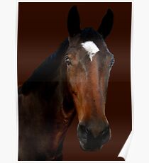 Mr Horse Poster