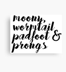 Marauders Canvas Print