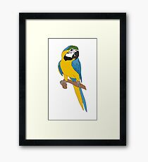 Belle Framed Print