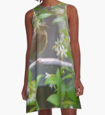 Baby Cardinal First Steps A-Line Dress