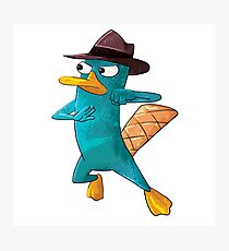 He's Perry Photographic Print