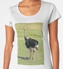 Strauß Premium Rundhals-Shirt