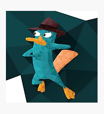 Perry the Geopuss Photographic Print