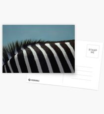 Deborah das Zebra Postkarten