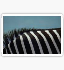 Deborah the Zebra Sticker