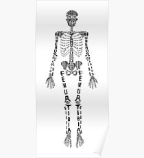 Typographical Skeleton Poster
