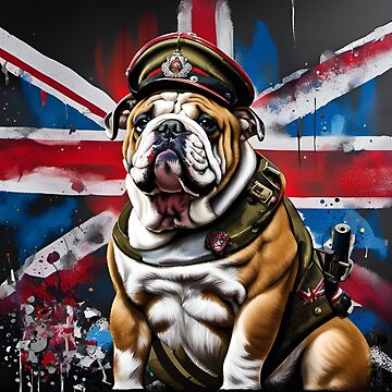 English bulldog clearance apparel