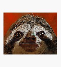Sloth Photographic Print