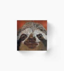 Sloth Acrylic Block