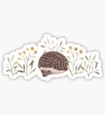 Little Hedgehog Sticker