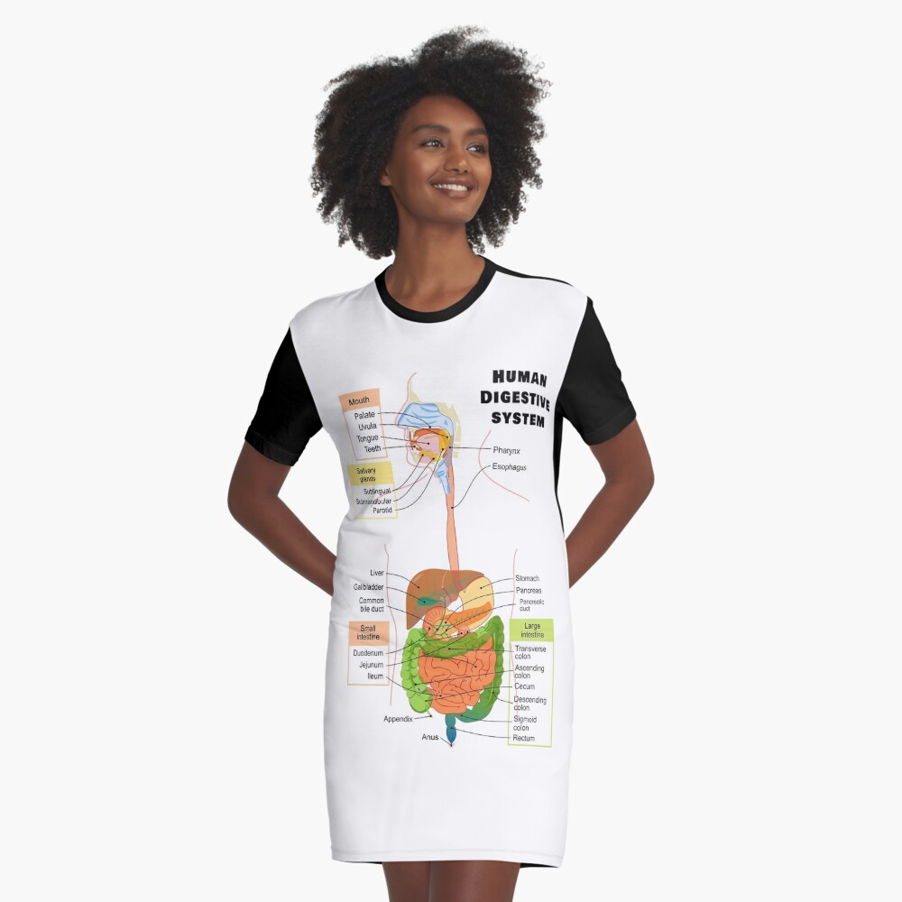 t shirt digestive system