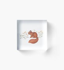 Furry Squirrel Acrylic Block