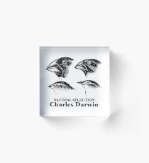 Charles Darwin - Natural Selection Acrylic Block