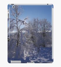 Winter landscape iPad Case/Skin