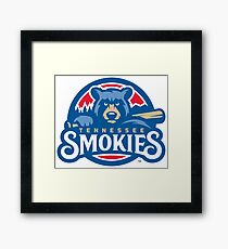 tennessee smokies Framed Print