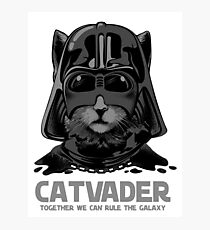 Cat gifts Photographic Print