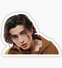 Pegatina Timothée Chalamet