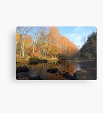 Autumn Brook Reflections - Nova Scotia Canada Metal Print