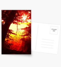 Lake Ontelaunee , Reading, PA Postcards