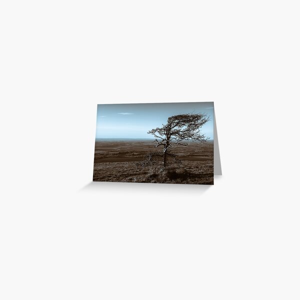 Wall Art - Wild English Landscape Greeting Card