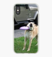 Vinilo o funda para iPhone Perro Frisbee