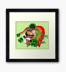 American Pit Bull Terrier Saint Patricks Day Framed Print