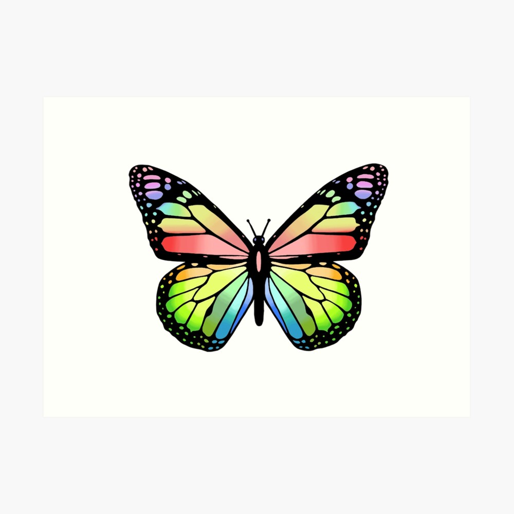 "Cute colorful butterfly digital drawing" Art Print by Anachan20