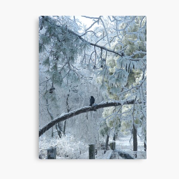 Surveying the damage Canvas Print