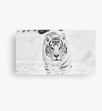 White Tiger Metal Print