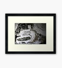 Decay Framed Print