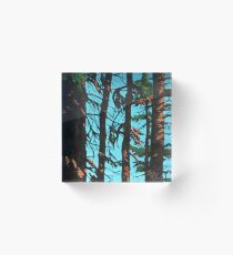 Joffre Acrylic Block