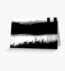 Swans 2 Greeting Card