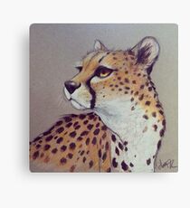 Spots Canvas Print